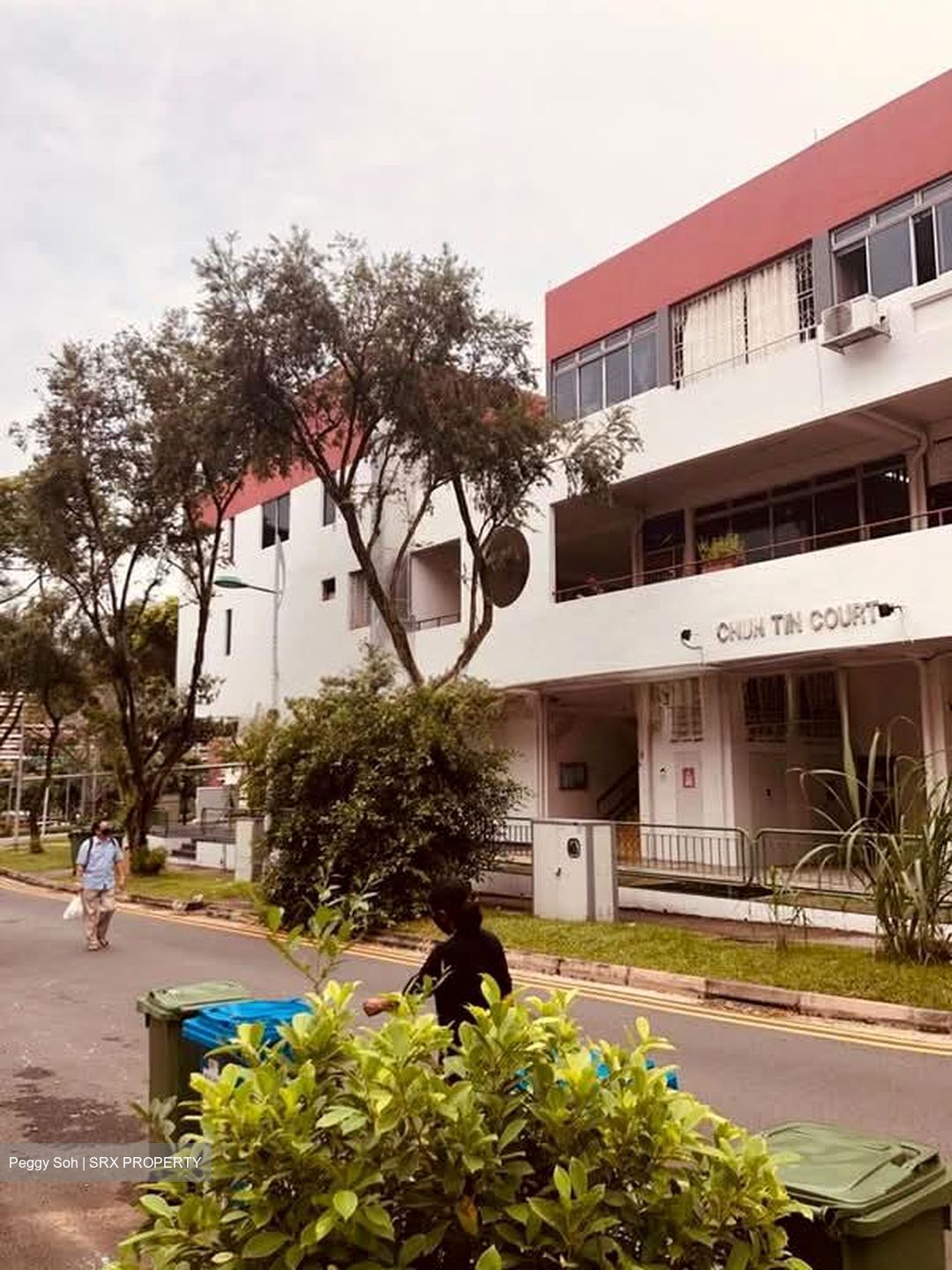 Chun Tin Court (D21), Apartment #603708131